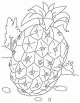 Free Printable Pineapple Coloring Pages For Kids sketch template