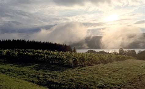 Fine dry wines | Keuka Lake Vineyards | United States