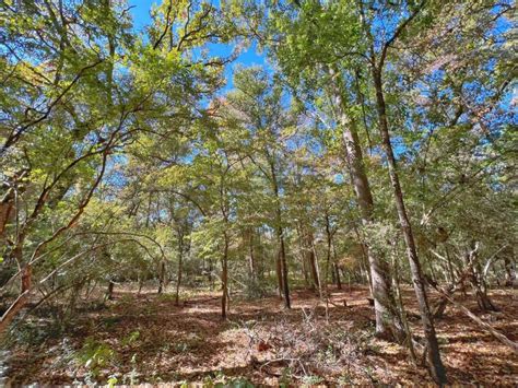 64.25 acres in Leon County, Texas - Circle T Realty Centerville TX ...