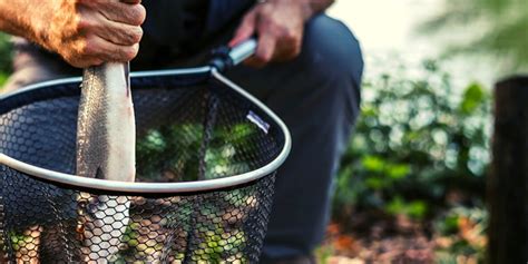 8 Survival Fishing Techniques For Every Prepper - Everyday Carry Gear