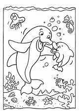 Free & Easy To Print Dolphin Coloring Pages  coloring sketch template