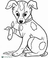 Dog Coloring Pages sketch template