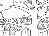 Sycamore Tree Coloring Page Zacchaeus Climbs A Sunday  sketch template