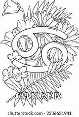 Zodiac Coloring Pages Cancer sketch template