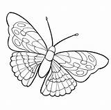 Butterfly Coloring Patterns Stock Illustrations – 120  sketch template
