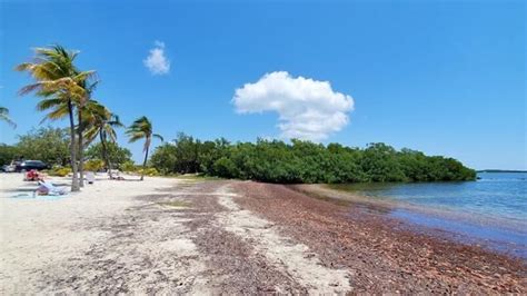 Best John Pennekamp State Park beaches in Key Largo (views?!) 🌞 ...