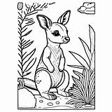 Cute Kangaroo Coloring Page · Creative Fabrica sketch template