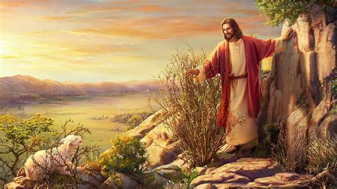 Lost Sheep Jesus On Stones Plants Jesus, HD wallpaper | Peakpx