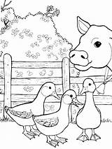 Printable Barnyard Animals sketch template