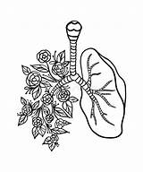 Lungs Coloring Page sketch template
