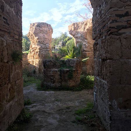 Carthaginian Ruins, Carthage - TripAdvisor