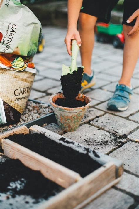 Consider These Top Tips Before Starting A New Garden | Better Health & Home