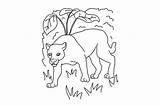 Panther Coloring Page SVG Cut  By Creative Fabrica Crafts sketch template