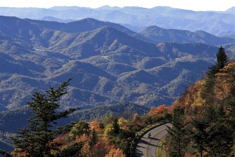 Hiker, 64, Found Tied to Tree Near Blue Ridge Parkway Trail