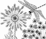 Fly Coloring Pages  Learny Kids sketch template