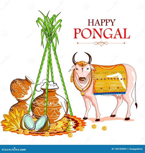 Happy Pongal Festival of Tamil Nadu India Background Stock Vector ...