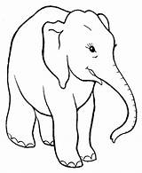 Kostenlos Ausdruckbarer Elefant sketch template