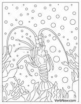 Free LOBSTER Coloring Pages For Download Printable PDF sketch template