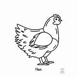 Hen Coloring Page  Homeschool Freebies And Giveaways sketch template
