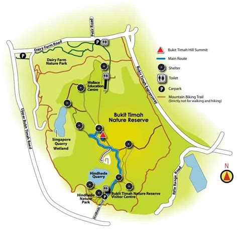 Bukit Timah Nature Reserve Singapore - Your Complete Guide