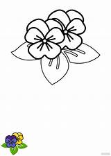 Coloring Pages Of Pansies sketch template