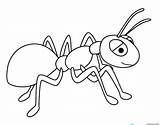 Ant Coloring Pages sketch template