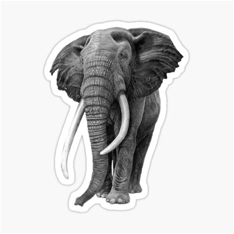 "Bull elephant - Drawing in pencil" Sticker for Sale by sean-fleming ...