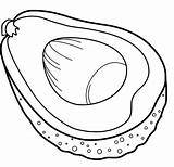 Avocado Coloring Sheet Pages sketch template