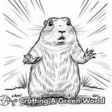 Prairie Dog Coloring Pages  Free & Printable sketch template