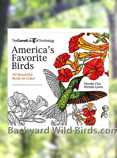 Backyard Birds Coloring Book