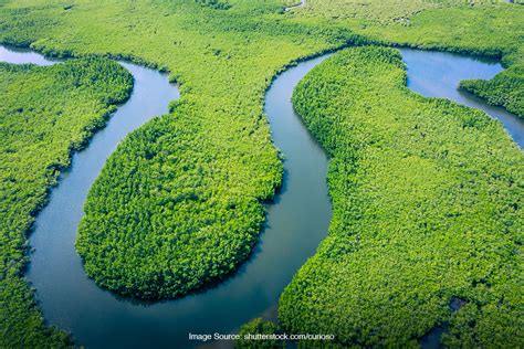 Fakta Amazon, Salah Satu Sungai Terpanjang yang Ada di Dunia | SUPERLIVE