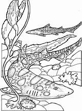 Coloring Pages Shark Coloring Pages Free And Printable sketch template