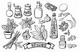 Spices Coloring Template Pages Spice Sketch Coloring Page sketch template