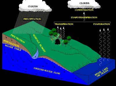 Percolation Water Cycle Definition