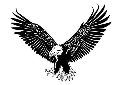 Eagle Vector - Download Free Vector Art, Stock Graphics & Images