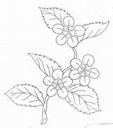 Posies Coloring Pages sketch template