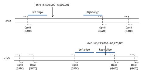 Capture-C — oligo 0.2.0 documentation