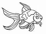 Gold Fish Coloring Page sketch template