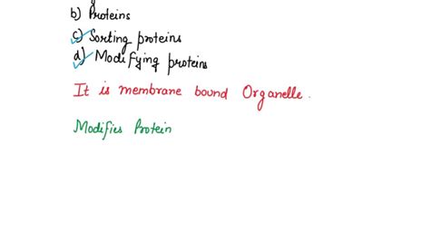 SOLVED: The Golgi complex is responsible for which processes? Select all that apply: Making ...