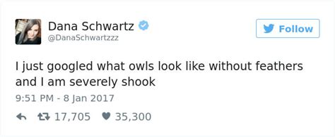 A Picture Of An Owl Without Feathers Is More Than The Internet Can Handle Apparently