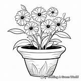 Flower Pot Coloring Pages  Free & Printable sketch template