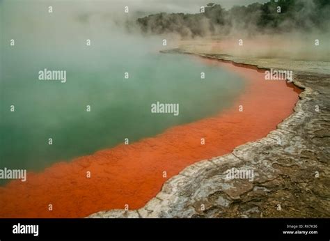 Champagne Pool in Rotorua Stock Photo - Alamy