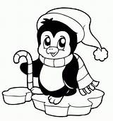 Cute penguin coloring pages Download And Print For Free sketch template