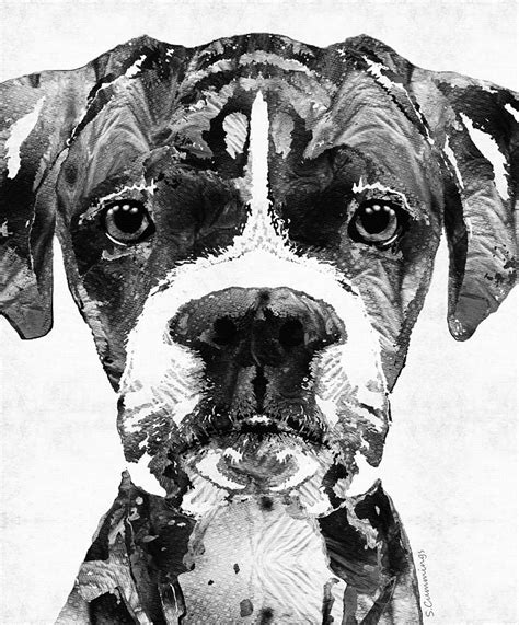 Black And White Boxer Dog Art By Sharon Cummings Painting by Sharon ...