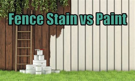 Fence Stain vs Paint (Pros and Cons & Design Guide) - Designing Idea