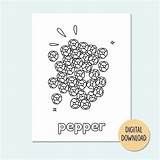 Spices Coloring Pages For Kids  Etsy sketch template