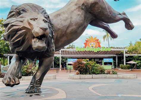 San Diego Zoo vs. Safari Park: Which Should You Visit?