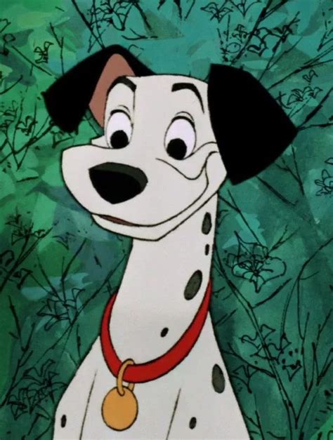 Pongo is the male protagonist of the 1961 Disney animated feature film One Hundred and One ...