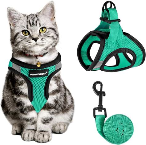 Amazon.com: cat travel harness