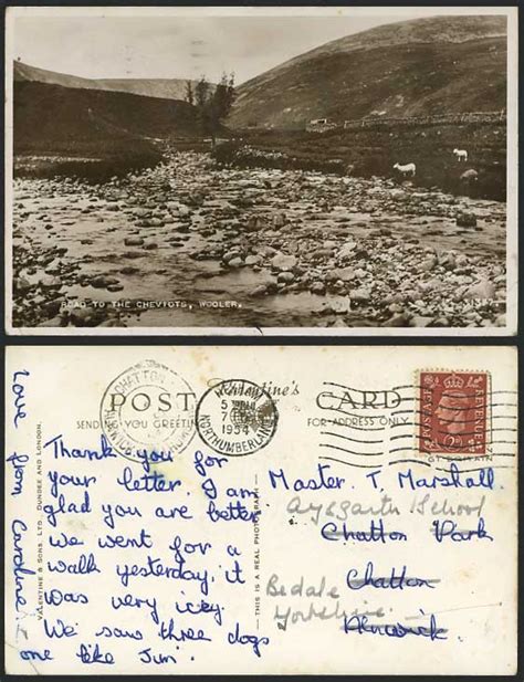 Road to the Cheviots, WOOLER 1954 Old RP Postcard SHEEP for Sale